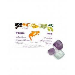 Pierres de signe Poisson