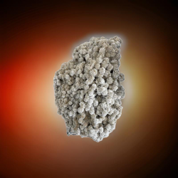 Groupement des roses du désert