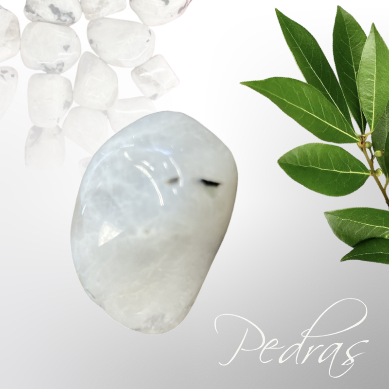 Pierres de Lune ou Labradorite blanche