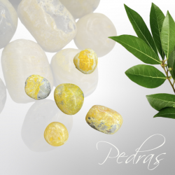 Pierres Roulées Jaspe Bumbleblee