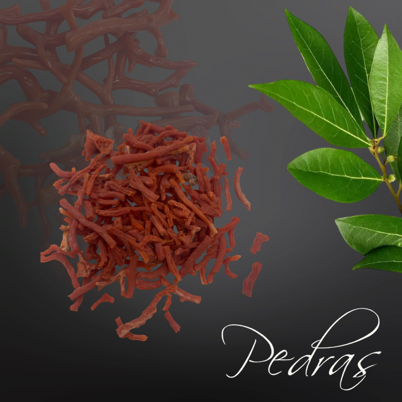 Branche de Corail brute