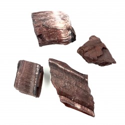 Olho de Tigre bruto vermelho