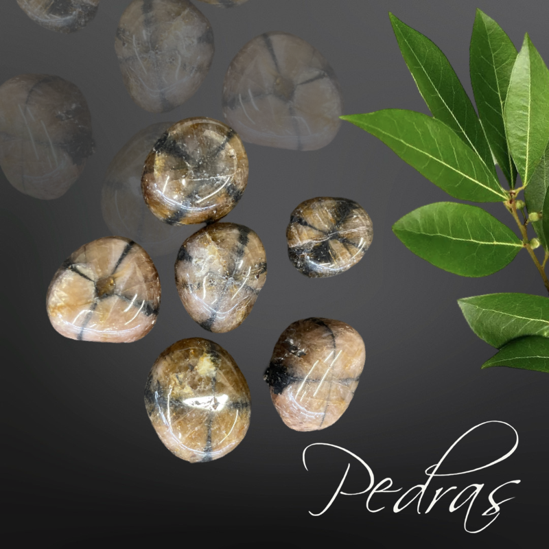 Pedra Chiastolita ou Pedra da Cruz rolada