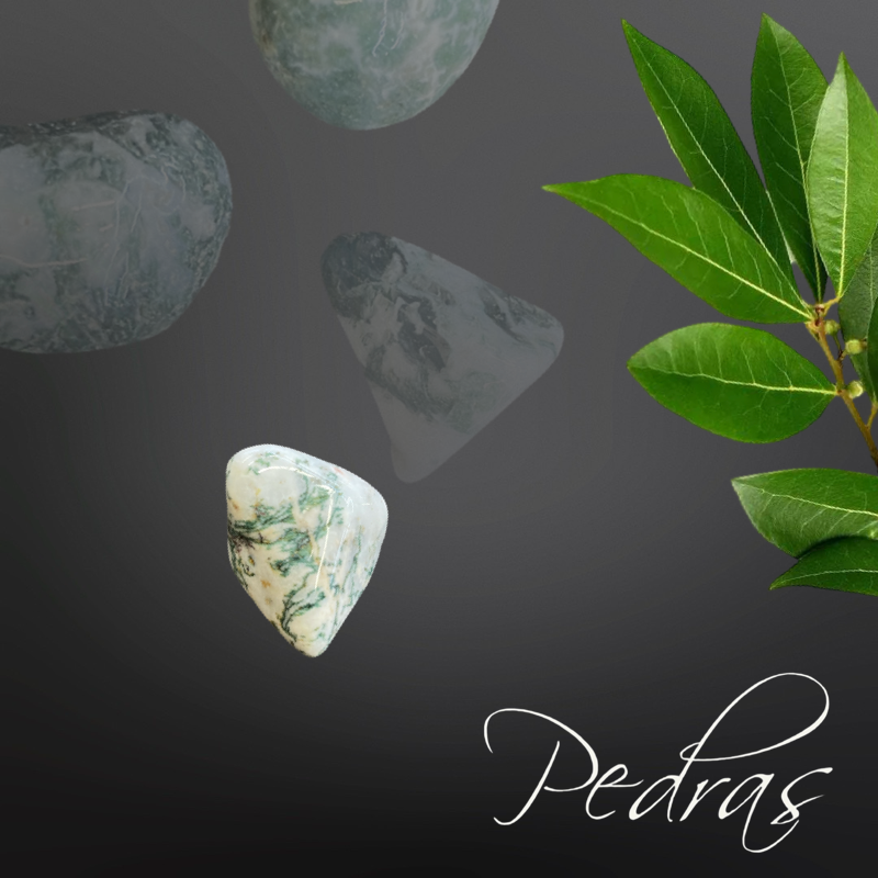 Pierres roulées Agate arborisée