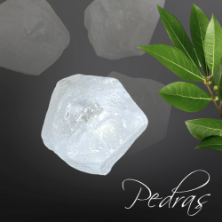 Pointe Apophyllite brute