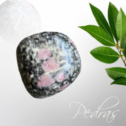 Pierres Eudialyte roulées