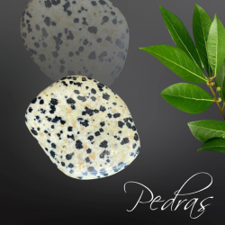 Pierres roulées Jaspe Dalmatien