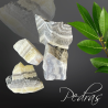 Pierres brutes Aragonite Zebra Pierres brutes Aragonite Zebra