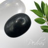 Galet Shungite Galet Shungite
