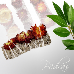 Incenso de Sálvia com...