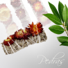 Encens Sauge au Immortelle Encens Sauge au Immortelle