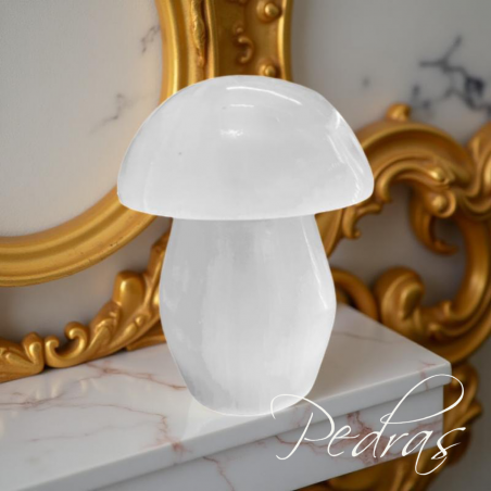 Lampe champignon Sélénite