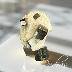 Pyrite en cube sur gangue
