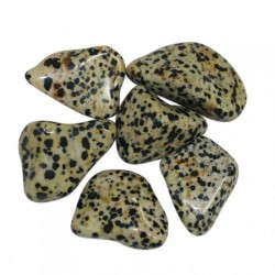 Jaspe Dalmatien
