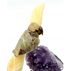 Oiseau Onyx Argentin et...