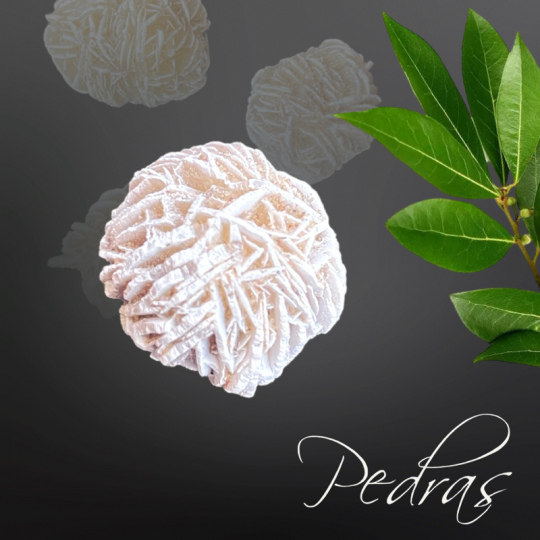 rosa-do-deserto-ou-rosa-das-areias